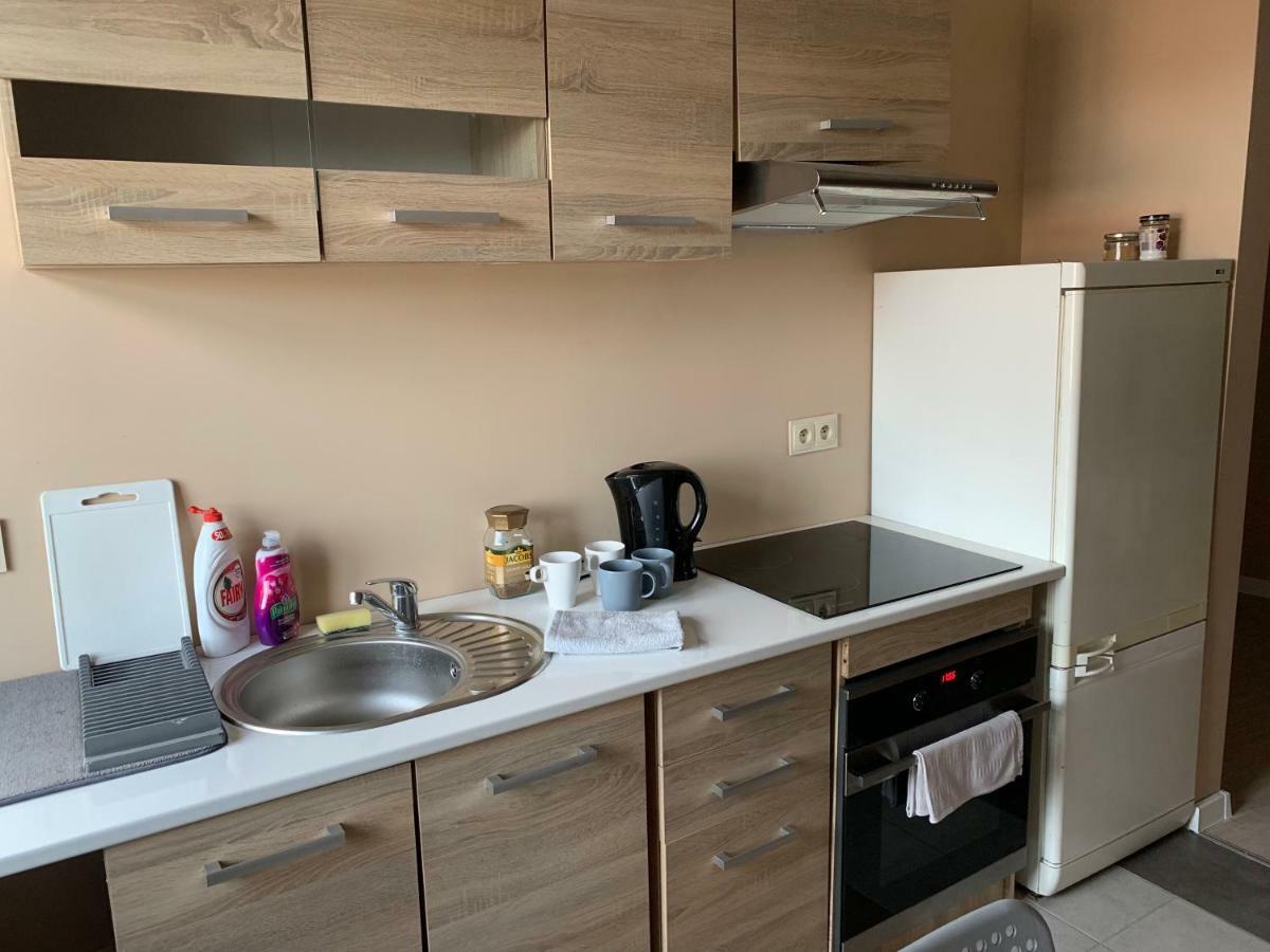 שווידניקה Apartament Centrum מראה חיצוני תמונה